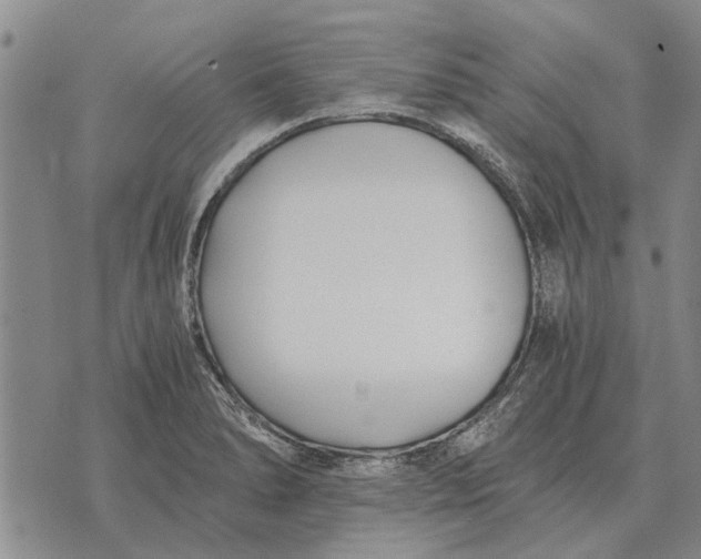 X0000073901278200609011709