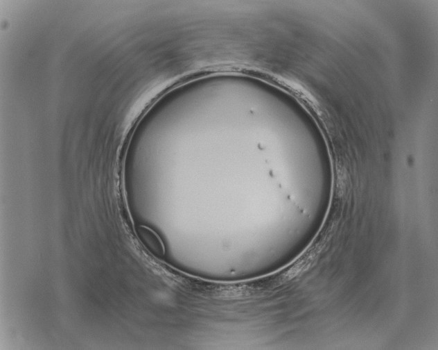 X0000073901279200609011709