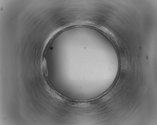 X0000073901280200609011709