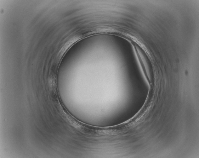 X0000073901281200609011709