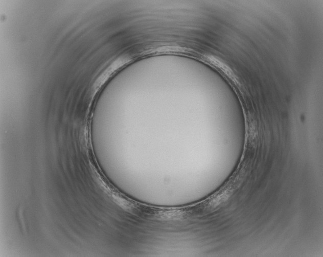 X0000073901282200609011709