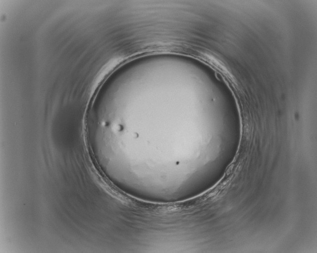 X0000073901283200609011709