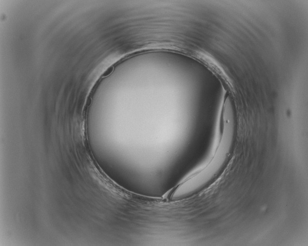 X0000073901284200609011709