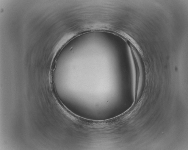 X0000073901285200609011709