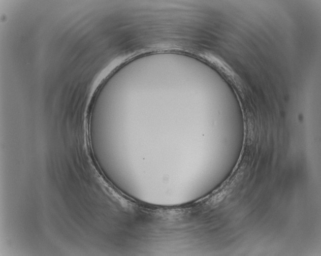 X0000073901286200609011709