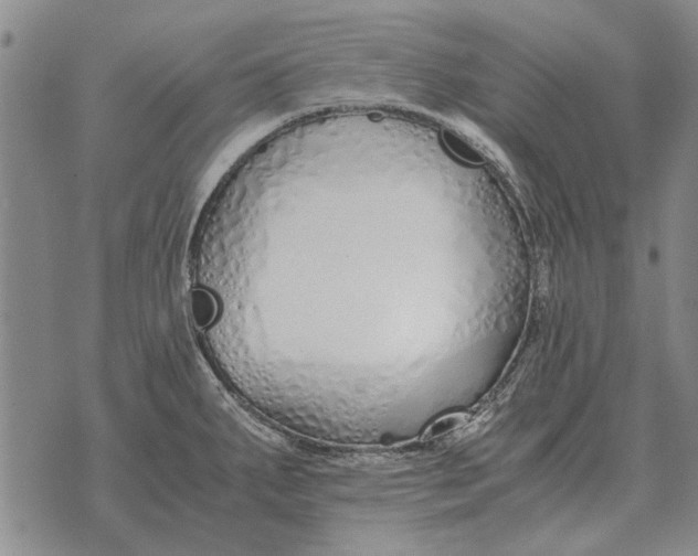 X0000073901287200609011709