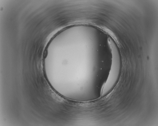 X0000073901288200609011709