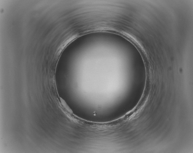 X0000073901289200609011709