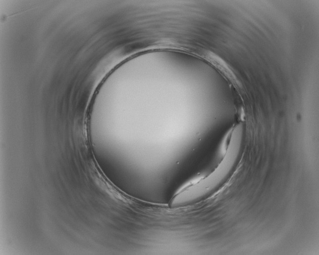 X0000073901292200609011709