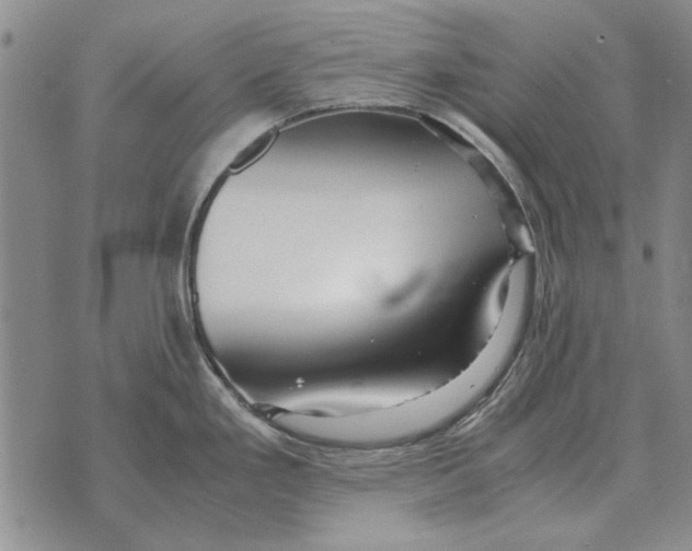 X0000073901293200609011709