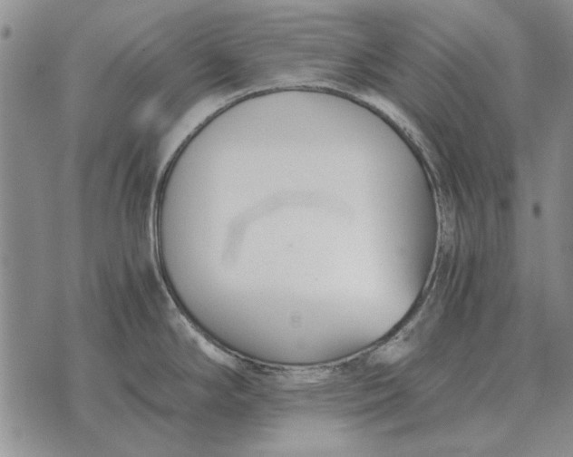 X0000073901294200609011709