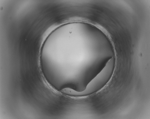 X0000073901296200609011709