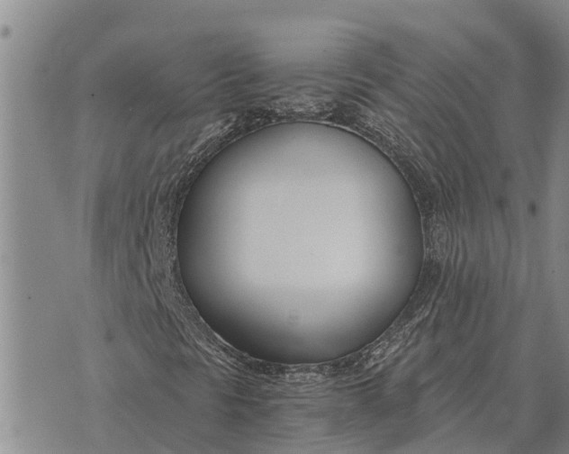 X0000073901297200609011708