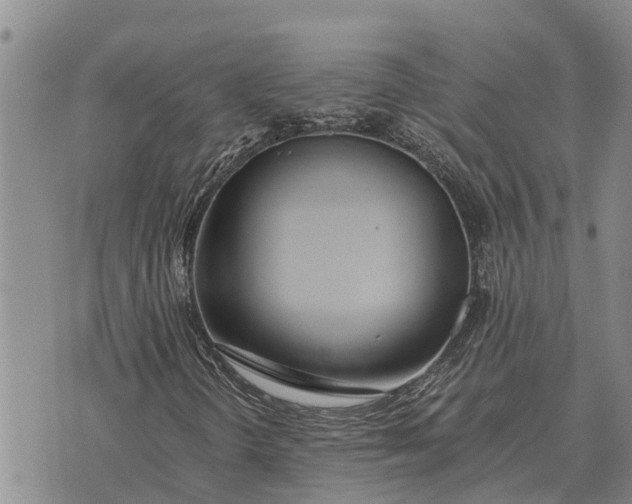 X0000073901298200609011708