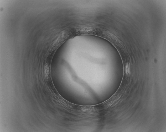 X0000073901299200609011708