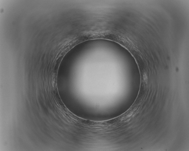 X0000073901300200609011708