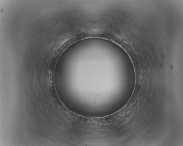 X0000073901301200609011708