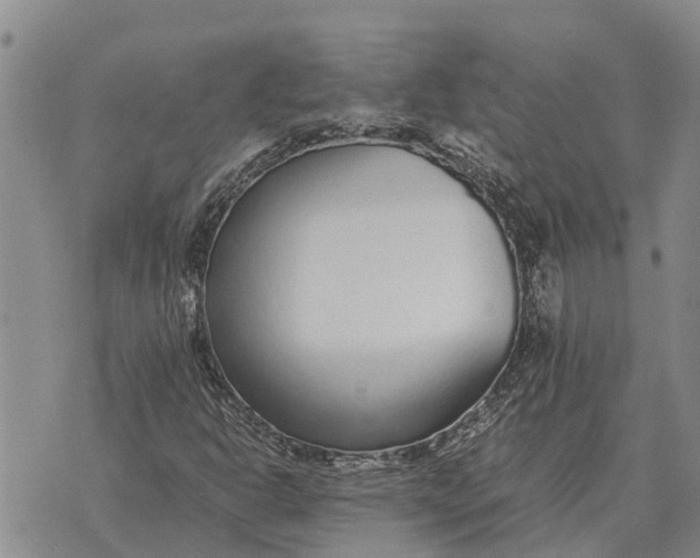 X0000073901302200609011708