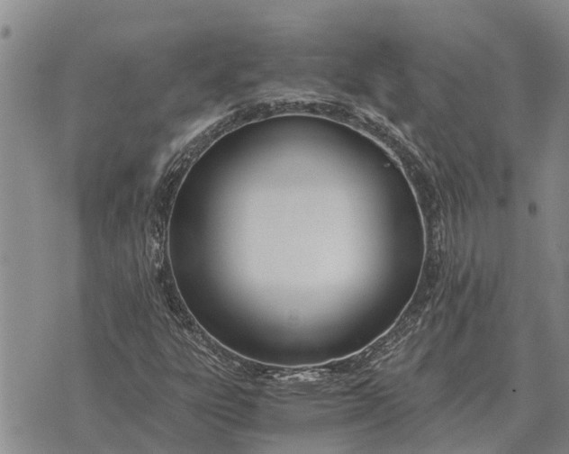 X0000073901303200609011708