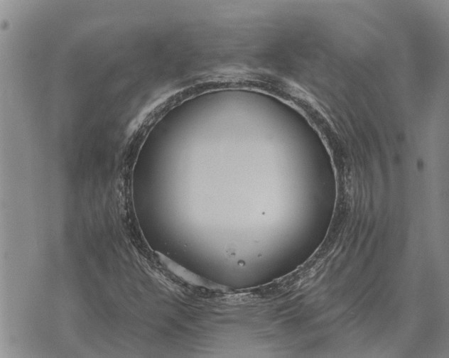 X0000073901304200609011708