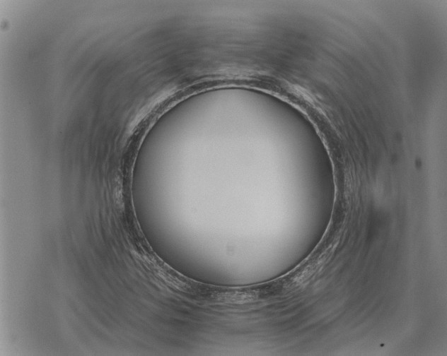 X0000073901307200609011708