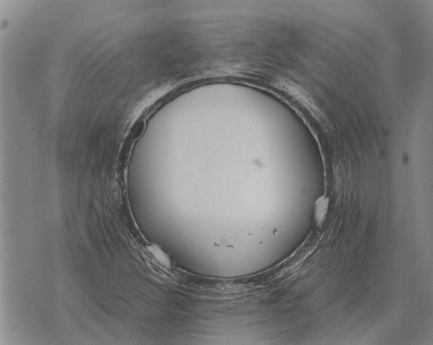 X0000073901308200609011708