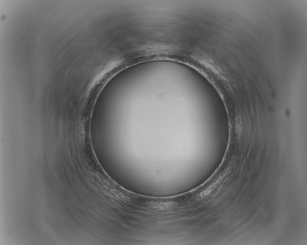 X0000073901309200609011708