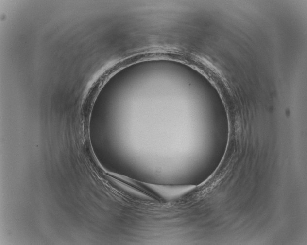 X0000073901310200609011708