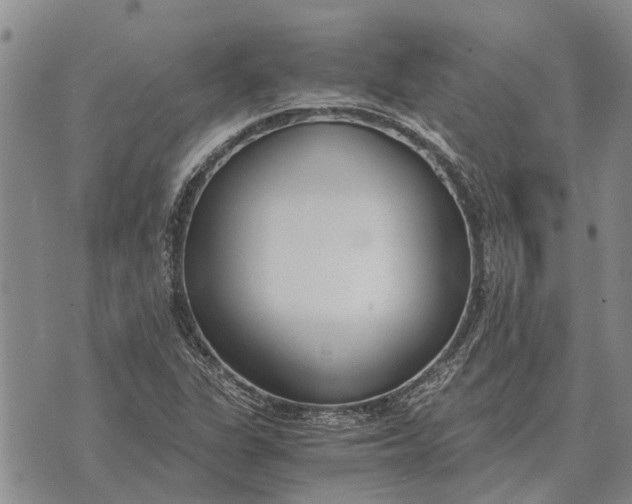 X0000073901311200609011708