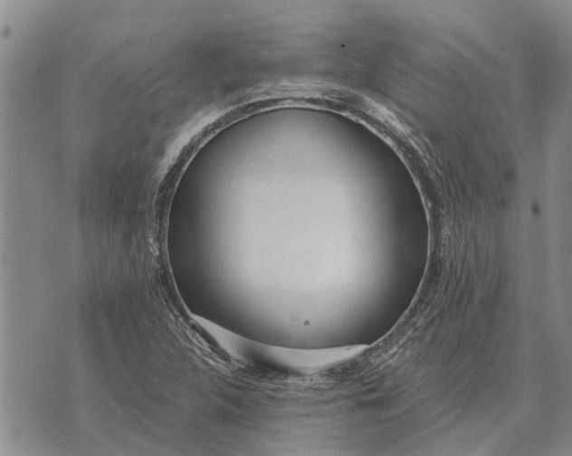 X0000073901312200609011708