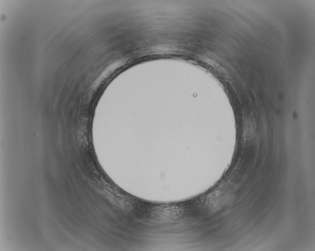 X0000073901314200609011708