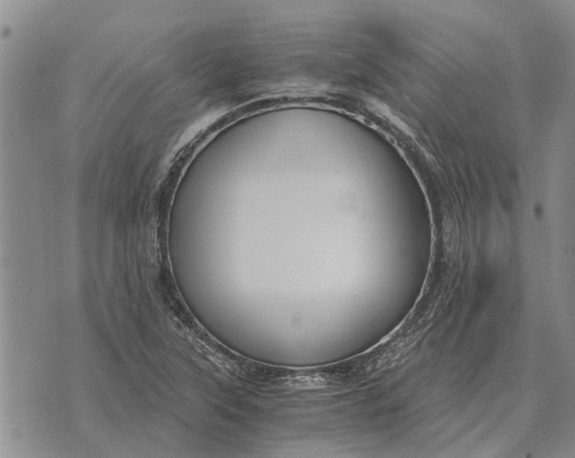 X0000073901315200609011708