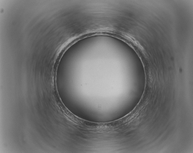 X0000073901316200609011708