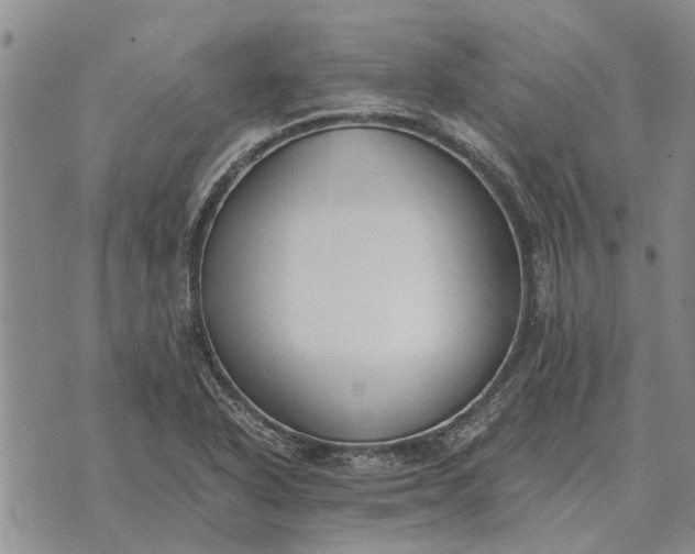 X0000073901318200609011708