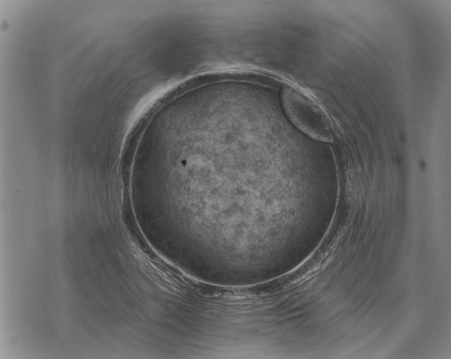 X0000073901319200609011708