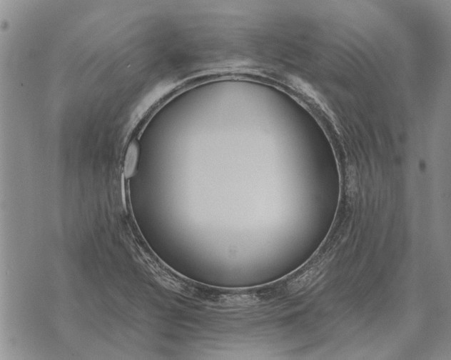 X0000073901320200609011708