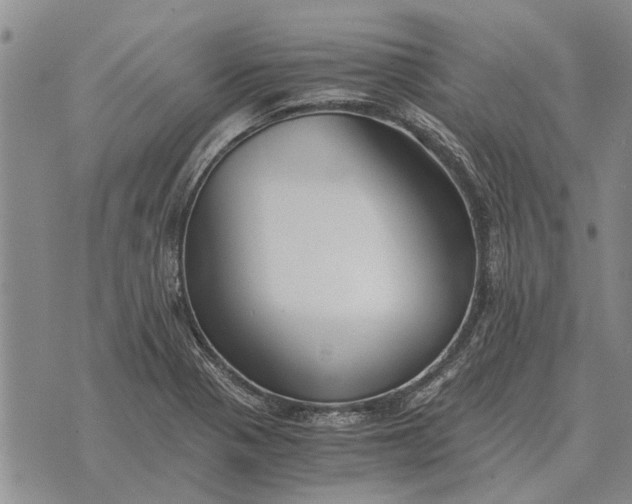 X0000073901321200609011708