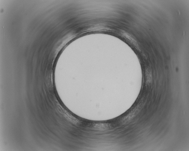 X0000073901322200609011708