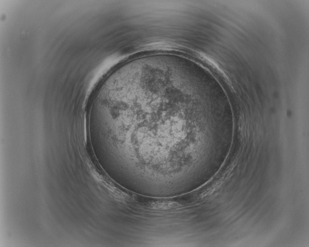 X0000073901323200609011708