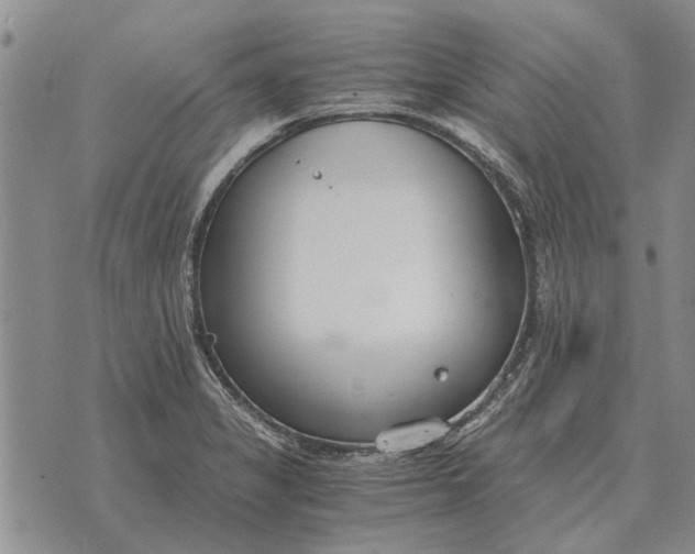 X0000073901325200609011708