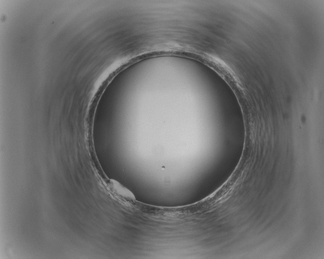 X0000073901326200609011708