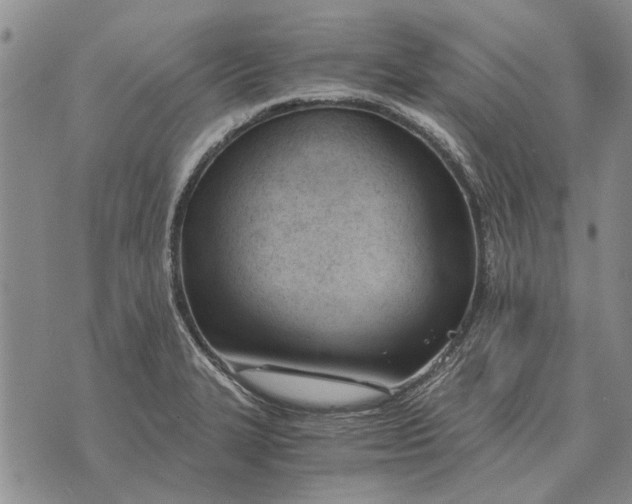 X0000073901327200609011708