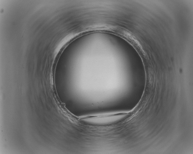 X0000073901328200609011708