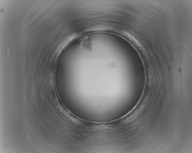 X0000073901329200609011708