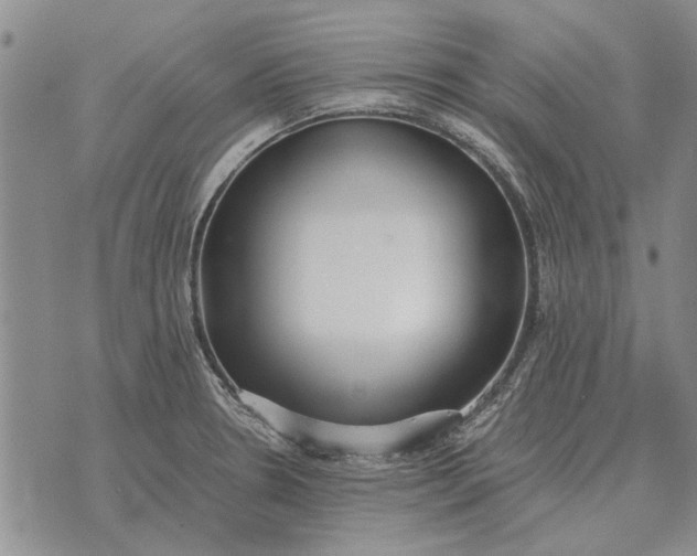 X0000073901330200609011708