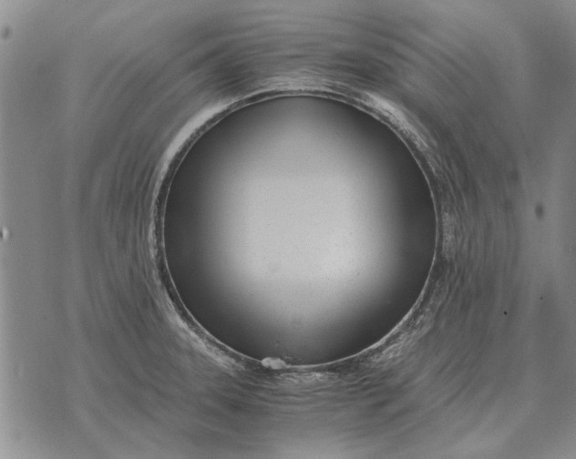 X0000073901331200609011708