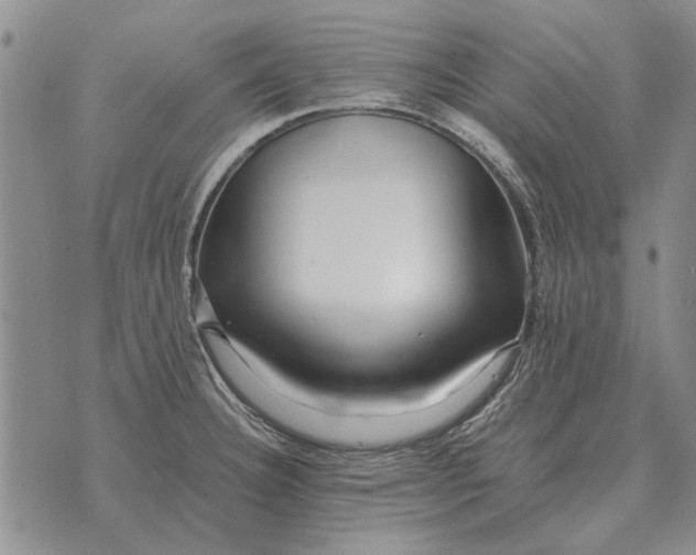 X0000073901332200609011708