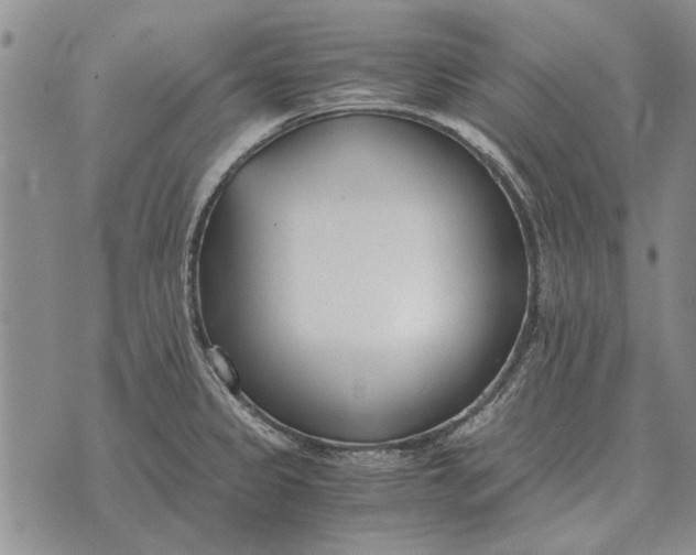 X0000073901333200609011709