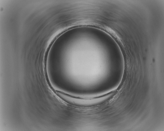 X0000073901334200609011709