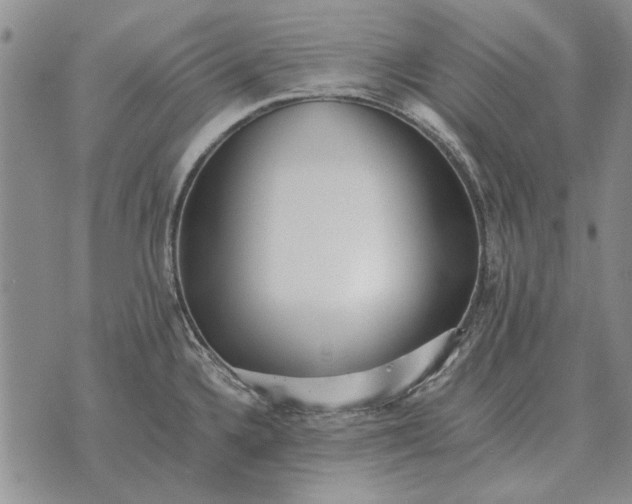 X0000073901336200609011709